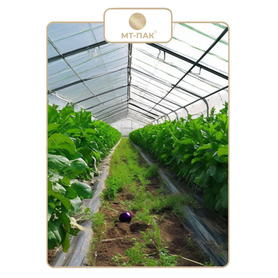 Пленка полиэтиленовая для парника и теплицы 4м*100м 150 мкм купить