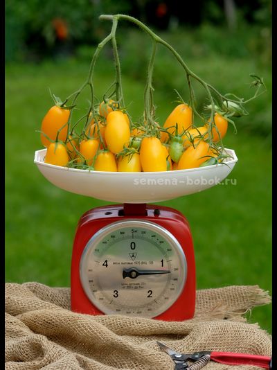 Томат Нежность, 10 шт