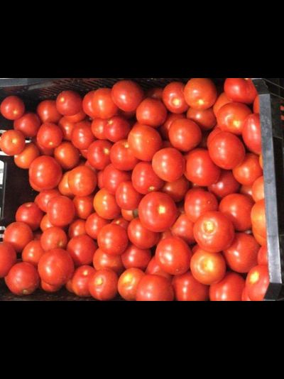 Томаты