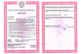 Лицензия МЧС