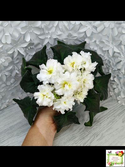 МК-Белая Кувшинка (М. Карпова) 2022 г.