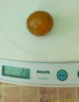 Злая олива