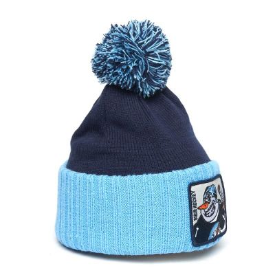 Шапка детская ХК «СИБИРЬ» A&amp;C (р.52-54) 20051