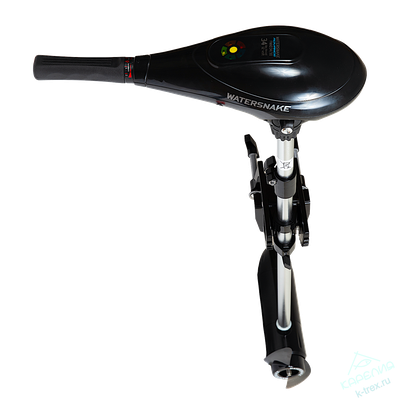 Подвесной электромотор WaterSnake Advance FWAD30/30 12V