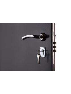 Входная Дверь Стандарт 2 ровная (1900 /1800 мм )