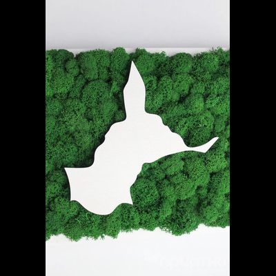 ЖИВАЯ ЭКО-КАРТИНА 1033