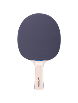 Набор н/т Roxel Hobby Progress (2 ракетки + 3 мяча + сетка),УТ-00015367