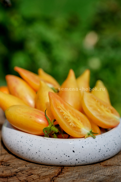 Томат Sweet Cream (Сладкий Крем), 10 шт