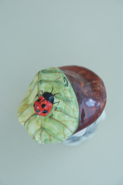 Гриб-лесовичок