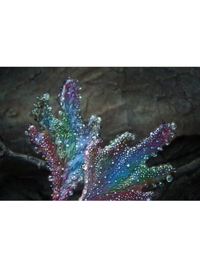 "Крылышки феи Рассветного сада", крупные серьги с капельками