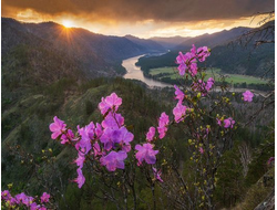 Знакомство с Алтаем + Марсианские горы. 7 дней. Июнь - октябрь 2025