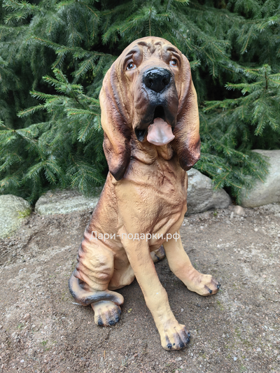 БЛАДХАУНД 59*32см  4,1кг  полистоун Россия 4397/016722*