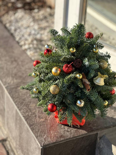 Зимняя композиция №11