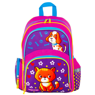 Рюкзак ПИФАГОР+ для учениц начальной школы, "Пес и кот", 40х30х15 см, 227941