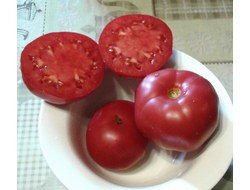 Семена томата Миссис Бенсон