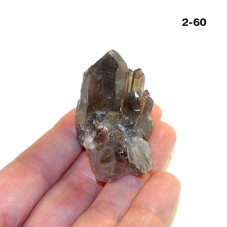 Раухтопаз натуральный (микро-друза) Казахстан №2-60: 23,5г - 39*24*29мм