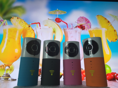 Видеоняня /WiFi видеокамера CleverDog с DVR