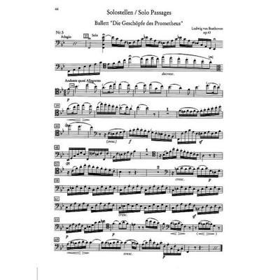 Orchester probespiel violoncello