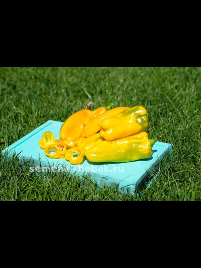 Перец сладкий Nocera Giallo (Носера Джиалло), 10 шт