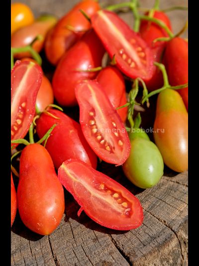 Томат Покоритель Неба (Himmelsturmer), 10 шт