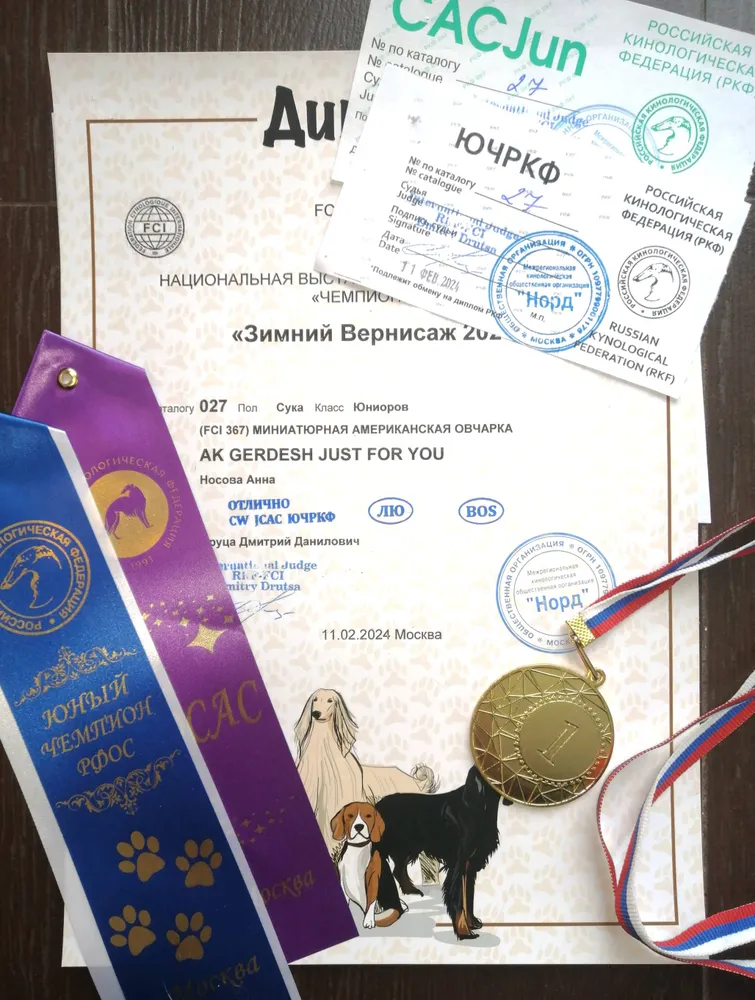 Победы маленькой Юты