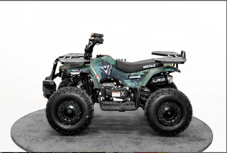 Детский бензиновый квадроцикл MOTAX GRIZLIK MINI PS BW