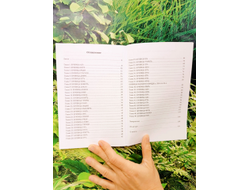 Майя Караваева. Буквица. Zемные, Родовые и Божественные обраzы и zадачи.