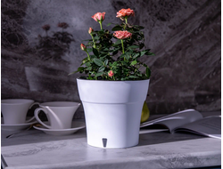 ГОРШОК "ДАЛИ СОФТ" 2,1 л, цвет Белый-Чёрный