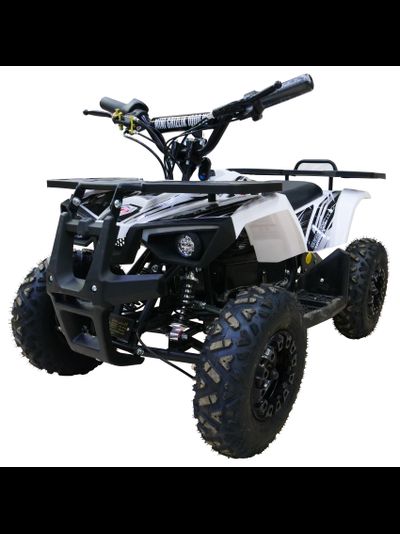 Детский квадроцикл MOTAX Mini Grizlik X-16 E1000