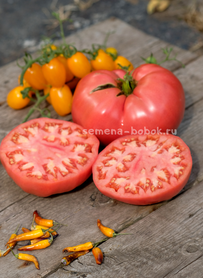 Томат Минусинский Крупный, 10 шт