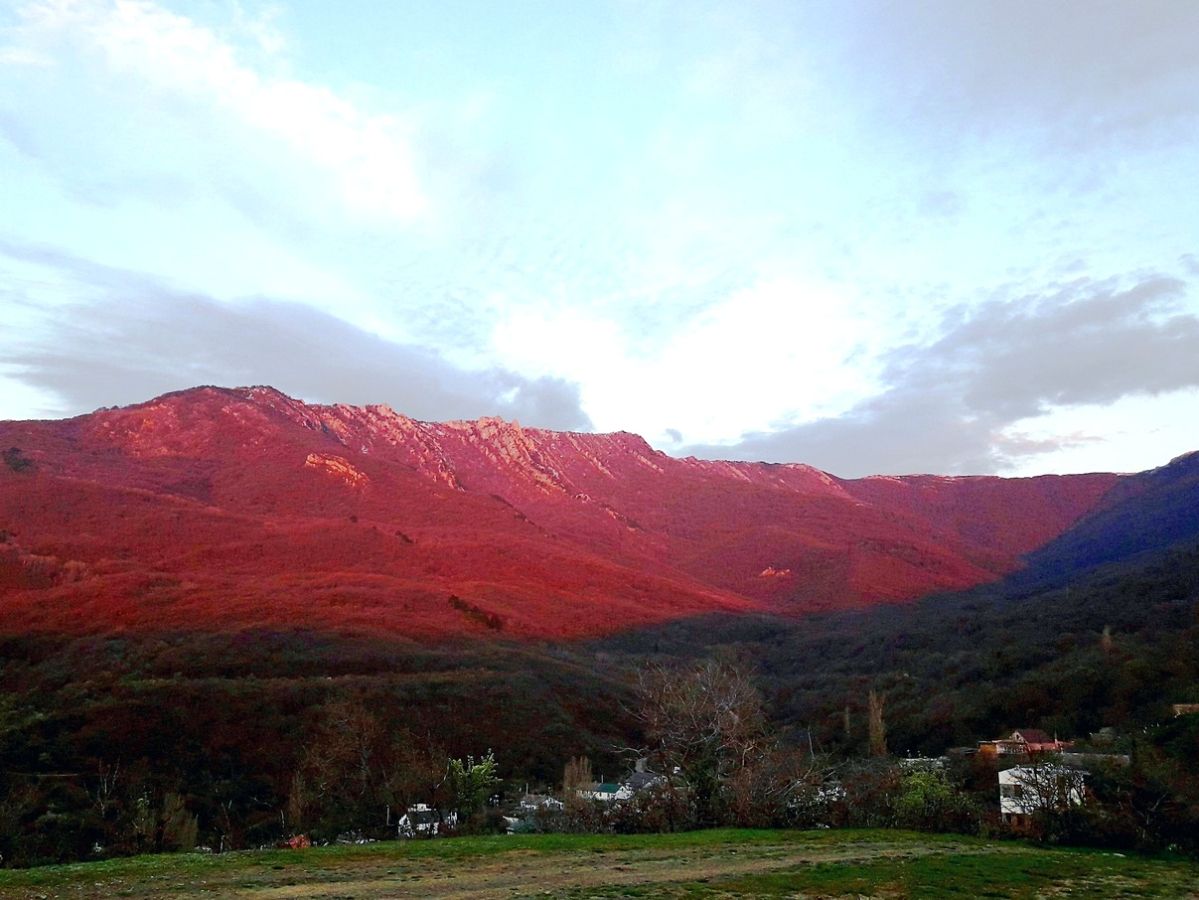 Перья Хапхала