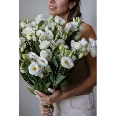 Моно букет цветов № 523