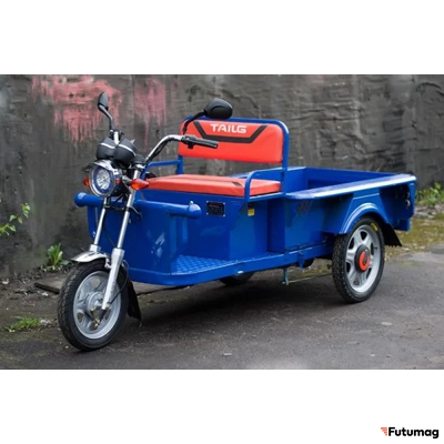 Грузовой электротрицикл TaiLG TL650