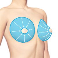 Зона молочных желез. ДЭНАС при беременности