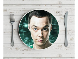 Тарелка Теория большого взрыва, The Big Bang Theory №8