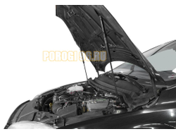 Амортизаторы капота, 2 шт. АвтоУпор для Ford Focus II 2005-2008