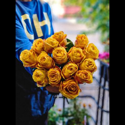 Роза Эквадор 70 см 15 шт