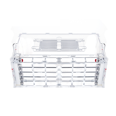 Комплект формикарий 4ants Crystal XL 3.0  с муравьями Messor Structor