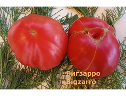 Томат  Бигзарро (Bigzarro), США