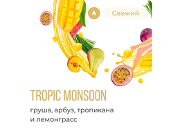 ELEMENT V 25 г. - TROPIC MONSOON (ГРУША-АРБУЗ-ТРОПИКАНА-ЛЕМОНГРАСС)