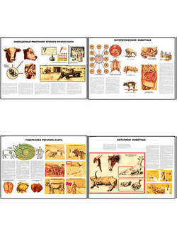 Плакаты ПРОФТЕХ "Меры борьбы с заразными заболеваниями с/х животных и птицы" (23 пл, винил, 70х100)