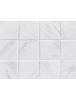 Celia white wall 03 250х600
