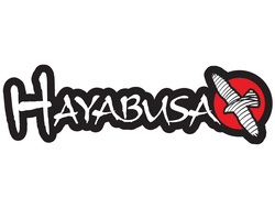 hayabusa