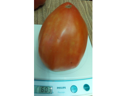 Томат Остроконечное сердце Марека (Marek's Pointy Heart) США