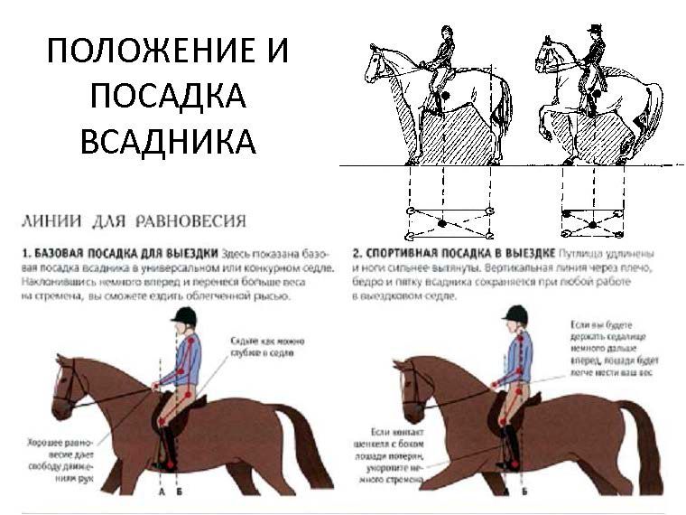 Элементы выездки с картинками