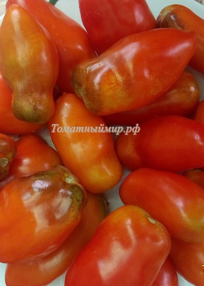 Томат Osu o Blonde avec Tetons (Пышногрудая блондинка Osu)