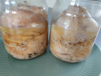 Перепела тушеные в собственном соку. Тушенка из перепелов | ферма СытникЪ