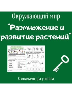 Рабочий лист. 3 класс. "Размножение и развитие растений"