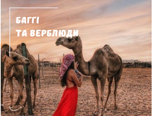 Катання на баггі (на двох) та прогулянка на верблюдах із Шарм Ель Шейха