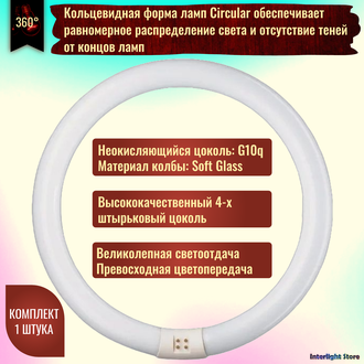 Osram С Circular L 22w/840 G10q